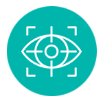 Vision-Icon1